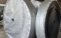 鬥式提升機膠帶廠(chǎng)家